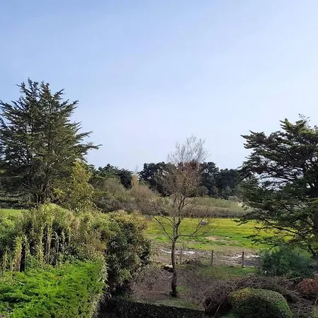 Panorama & Cote Sauvage - Studio - Les De La Cote D'amour Le Croisic